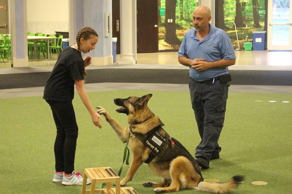 Looking for Dog Training Near You? Dog Training Near Me