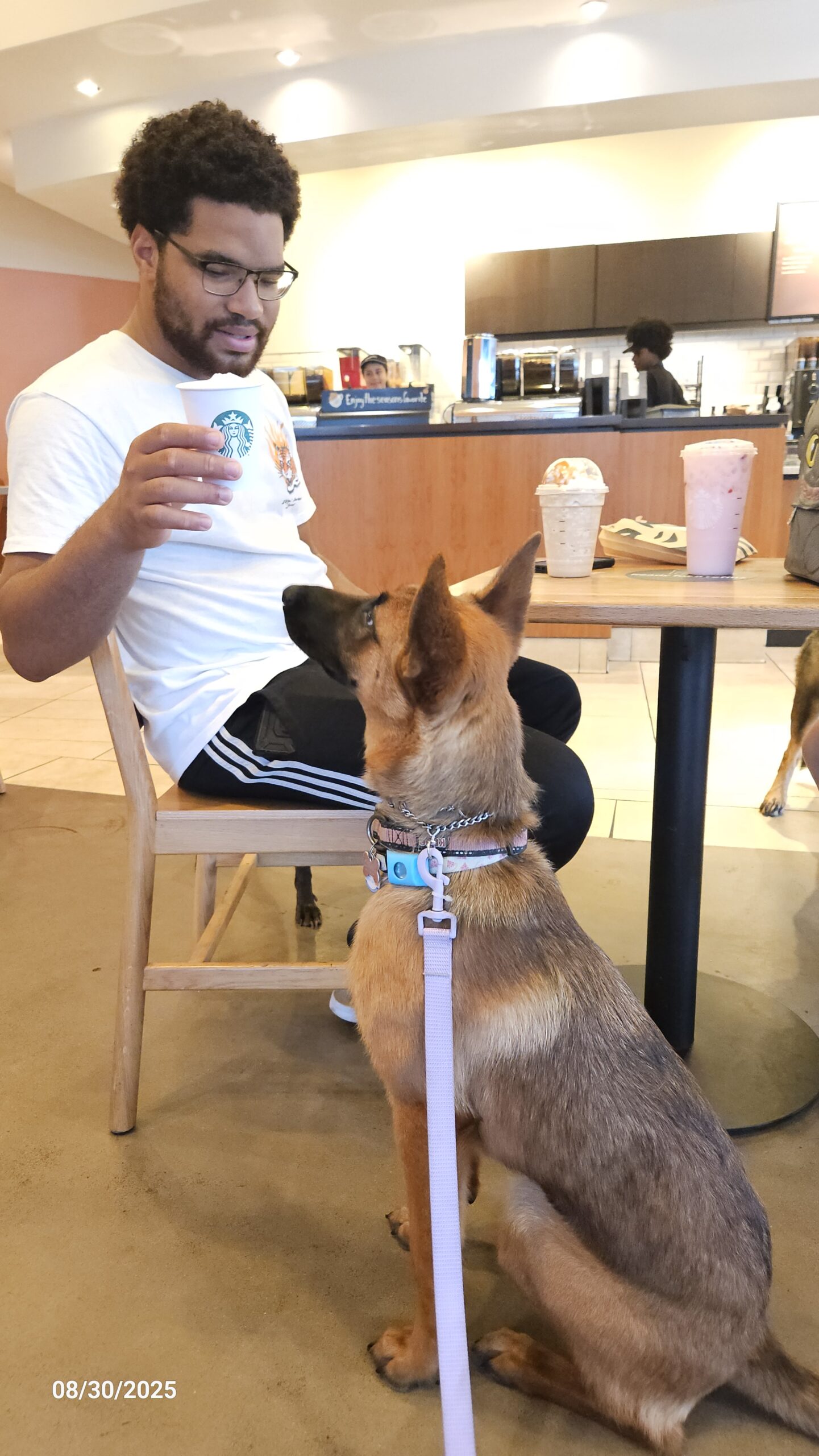 The Unspoken Rules of Dog-Friendly Spaces — How to Be a Great Guest (and Human)